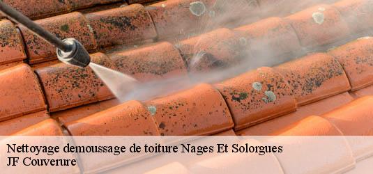 Nettoyage demoussage de toiture  nages-et-solorgues-30114 JF Couverure