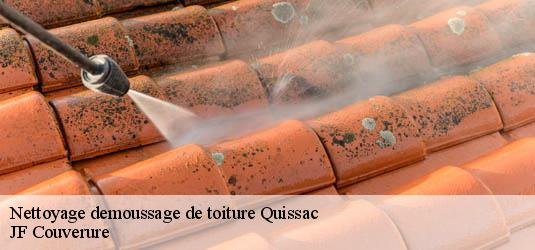 Nettoyage demoussage de toiture  quissac-30260 JF Couverure