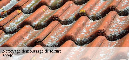 Nettoyage demoussage de toiture  saint-andre-de-valborgne-30940 JF Couverure