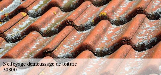 Nettoyage demoussage de toiture  saint-gilles-30800 JF Couverure