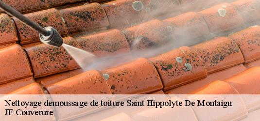 Nettoyage demoussage de toiture  saint-hippolyte-de-montaigu-30700 JF Couverure