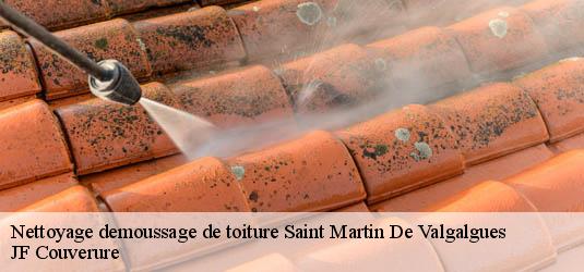 Nettoyage demoussage de toiture  saint-martin-de-valgalgues-30520 JF Couverure