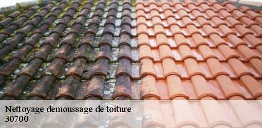 Nettoyage demoussage de toiture  saint-quentin-la-poterie-30700 JF Couverure