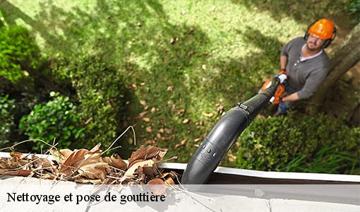 Nettoyage et pose de gouttière