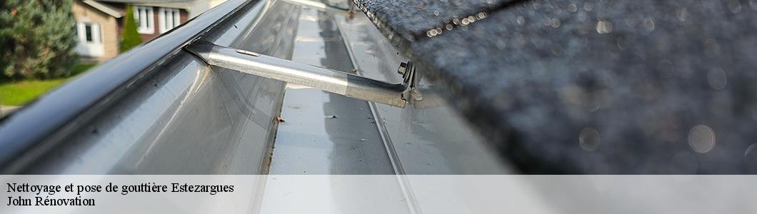 Nettoyage et pose de gouttière