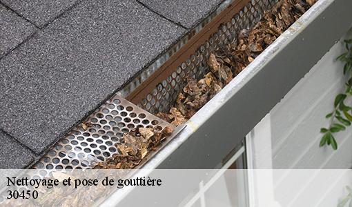 Nettoyage et pose de gouttière  30450